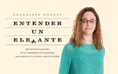 Entender un elefante