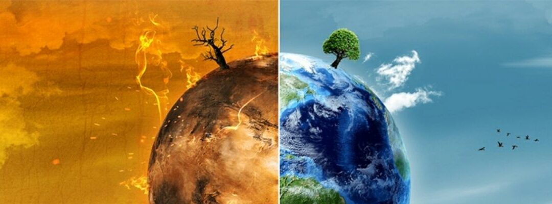 Datos duros de la crisis climática y ecológica